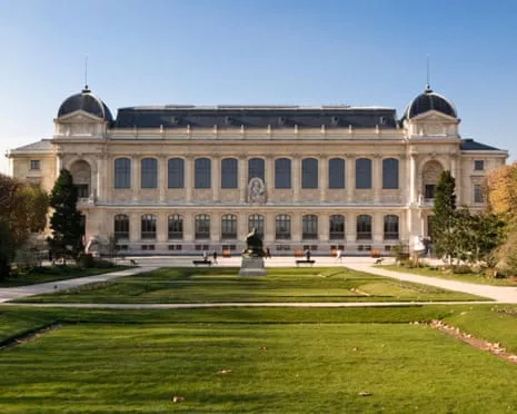 Priceless Gold Specimens Stolen in Daring Raid at French Natural History Museum
